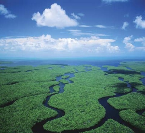 Everglades National Park